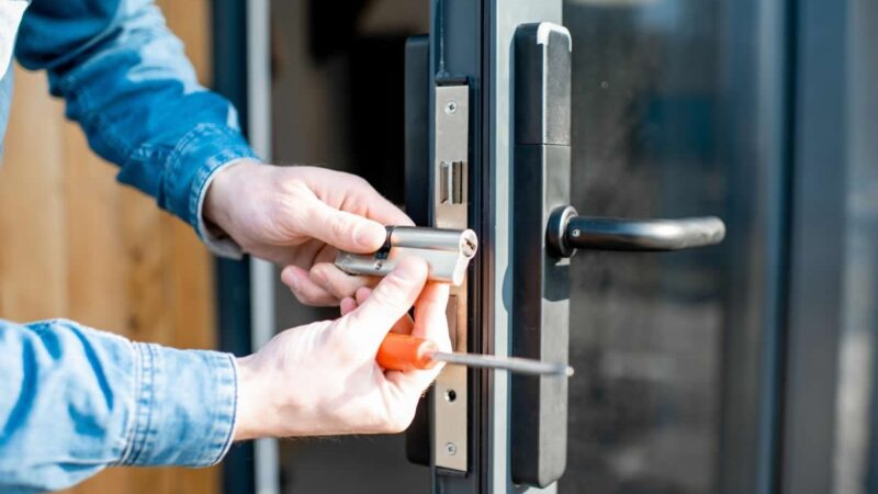 Why Are Professional Locksmith Services Essential for Home and Vehicle Security?