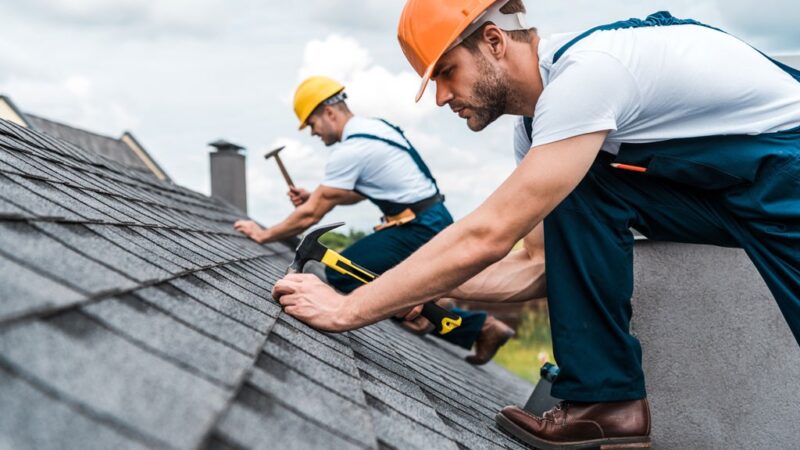 Why Should You Hire Professional Roofers for Your Business?