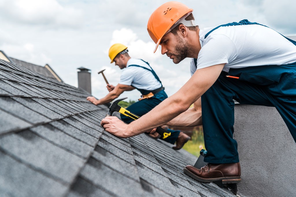 Why Should You Hire Professional Roofers for Your Business?