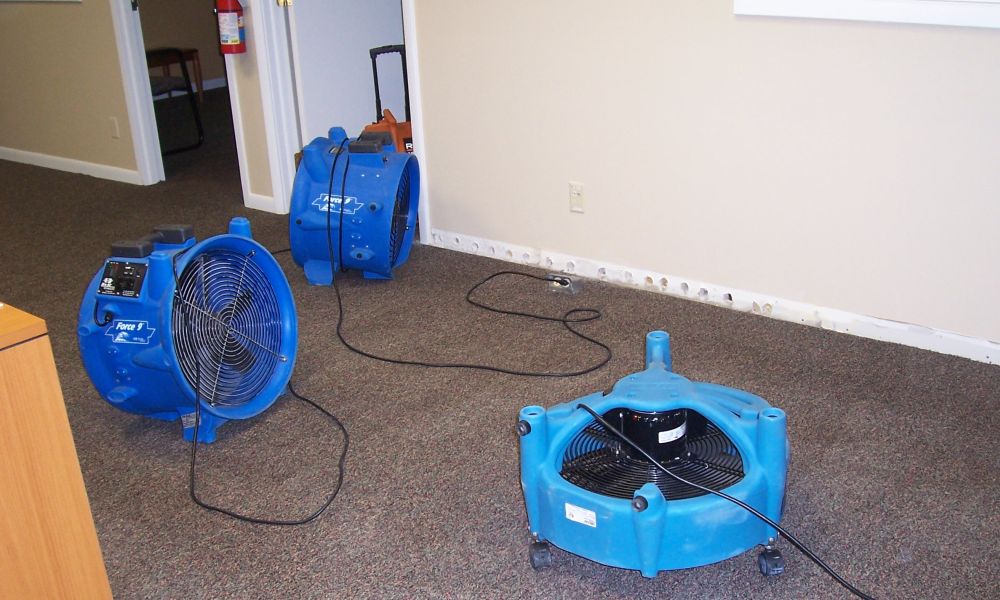 Why You Should Dry Your Home Out After Water Damage?