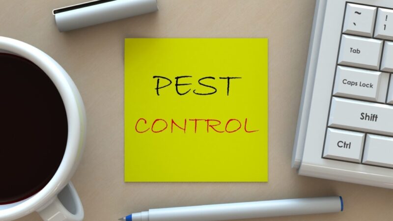 8 Questions asked by homeowners to pest control companies