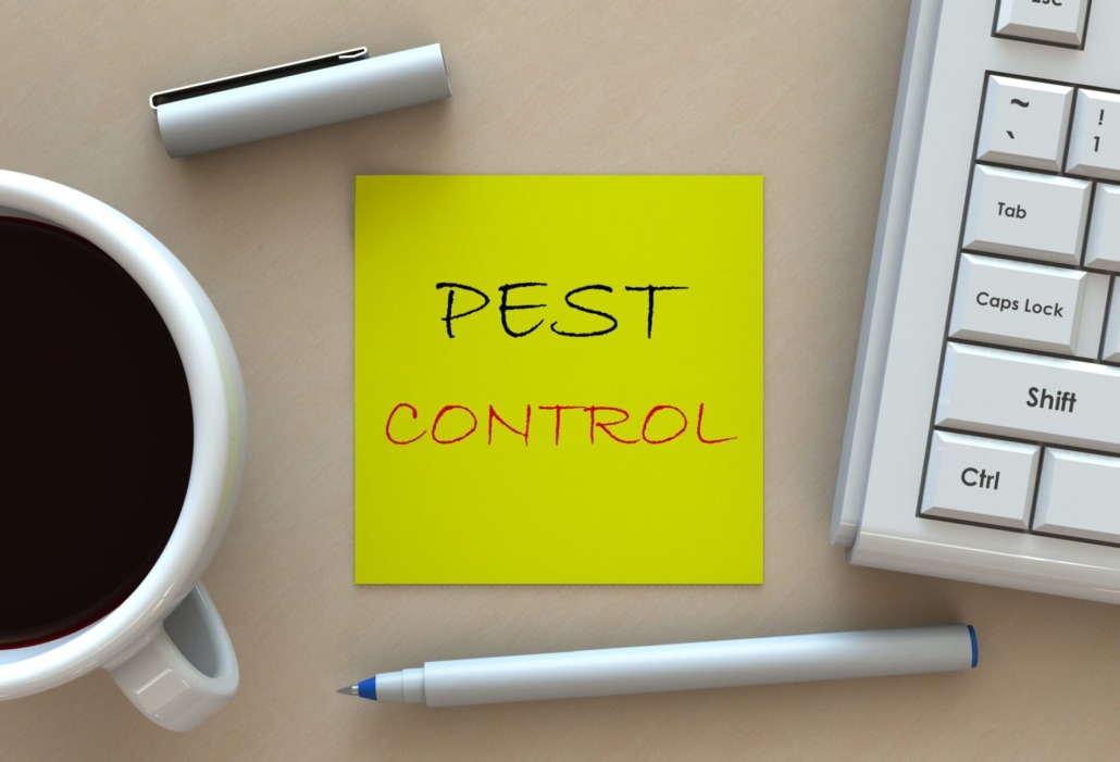 8 Questions asked by homeowners to pest control companies