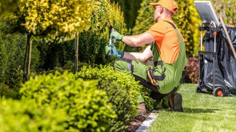 Affordable Landscaping Equipment Lease: Budget-Friendly Solutions to Grow Your Business