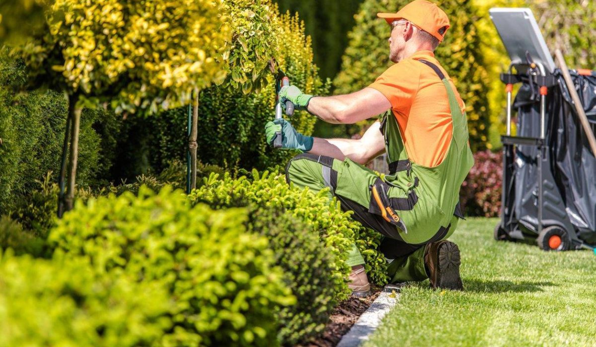 Affordable Landscaping Equipment Lease: Budget-Friendly Solutions to Grow Your Business